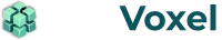 SymVoxel